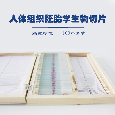 专业教学之利器 木盒装人体正常组织切片100片套装